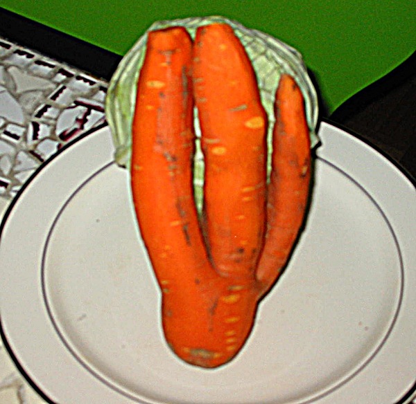 carottetrident
